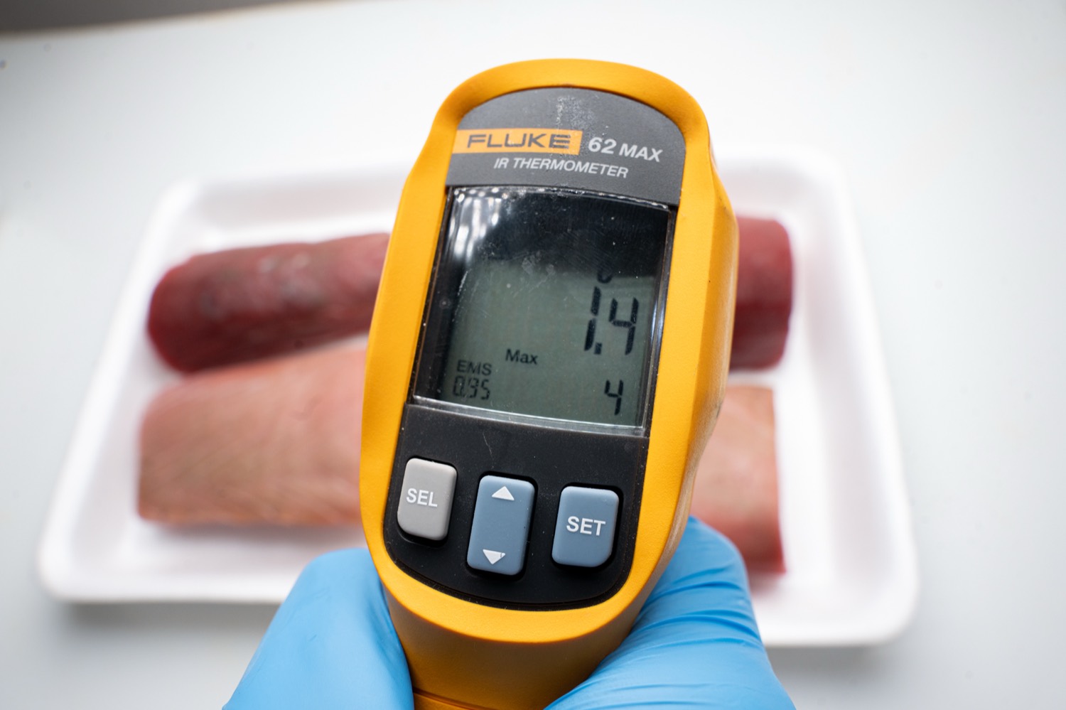เทอร์โมมิเตอร์อินฟราเรด Fluke 62 MAX หน้าถาดเนื้อปลา จอแสดงค่า 1.4 องศาเซลเซียส