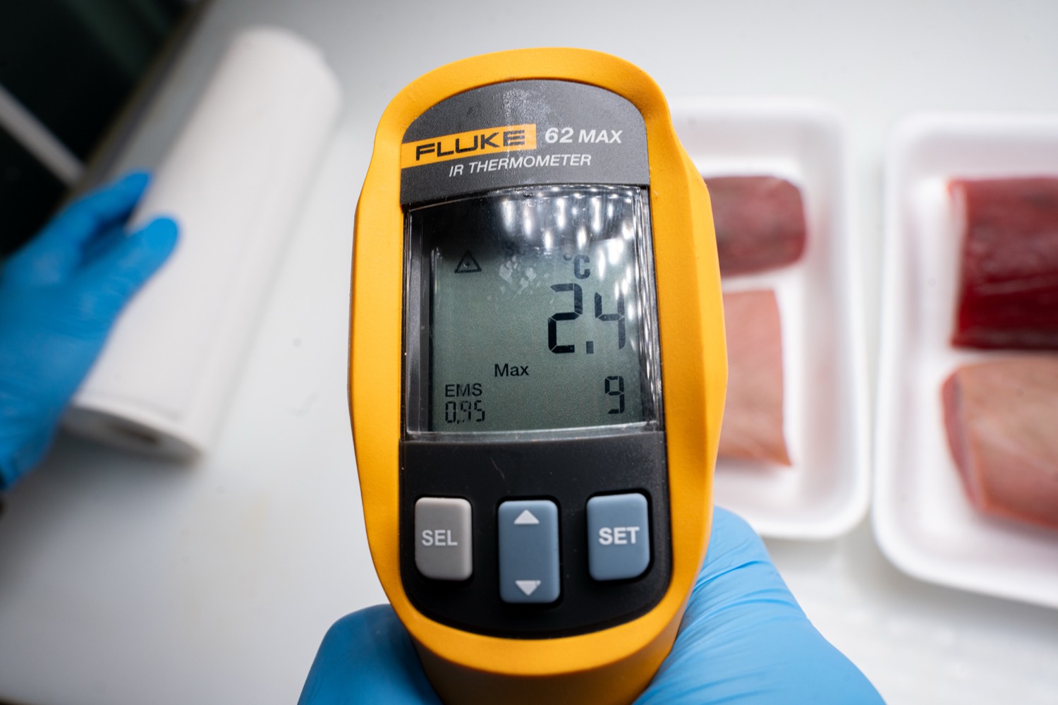 เทอร์โมมิเตอร์อินฟราเรด Fluke 62 MAX หน้าถาดเนื้อปลาสองถาด จอแสดงค่า 2.4 องศาเซลเซียส